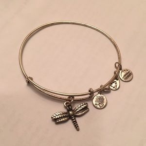 Silver Alex and Ani Bracelet